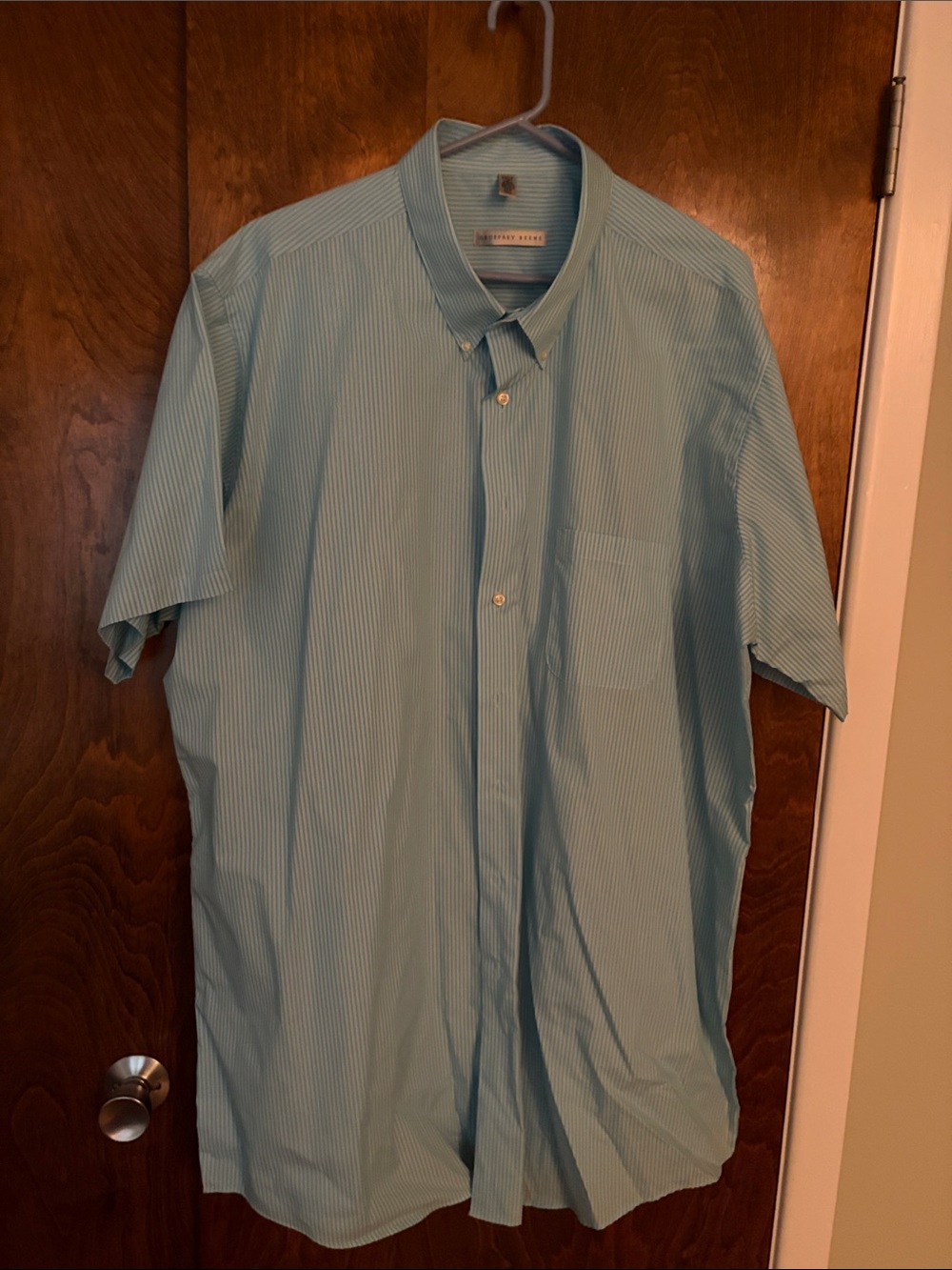 Geoffrey Beene Light Blue Pinstripe Short-Sleeve Button-Down Shirt
